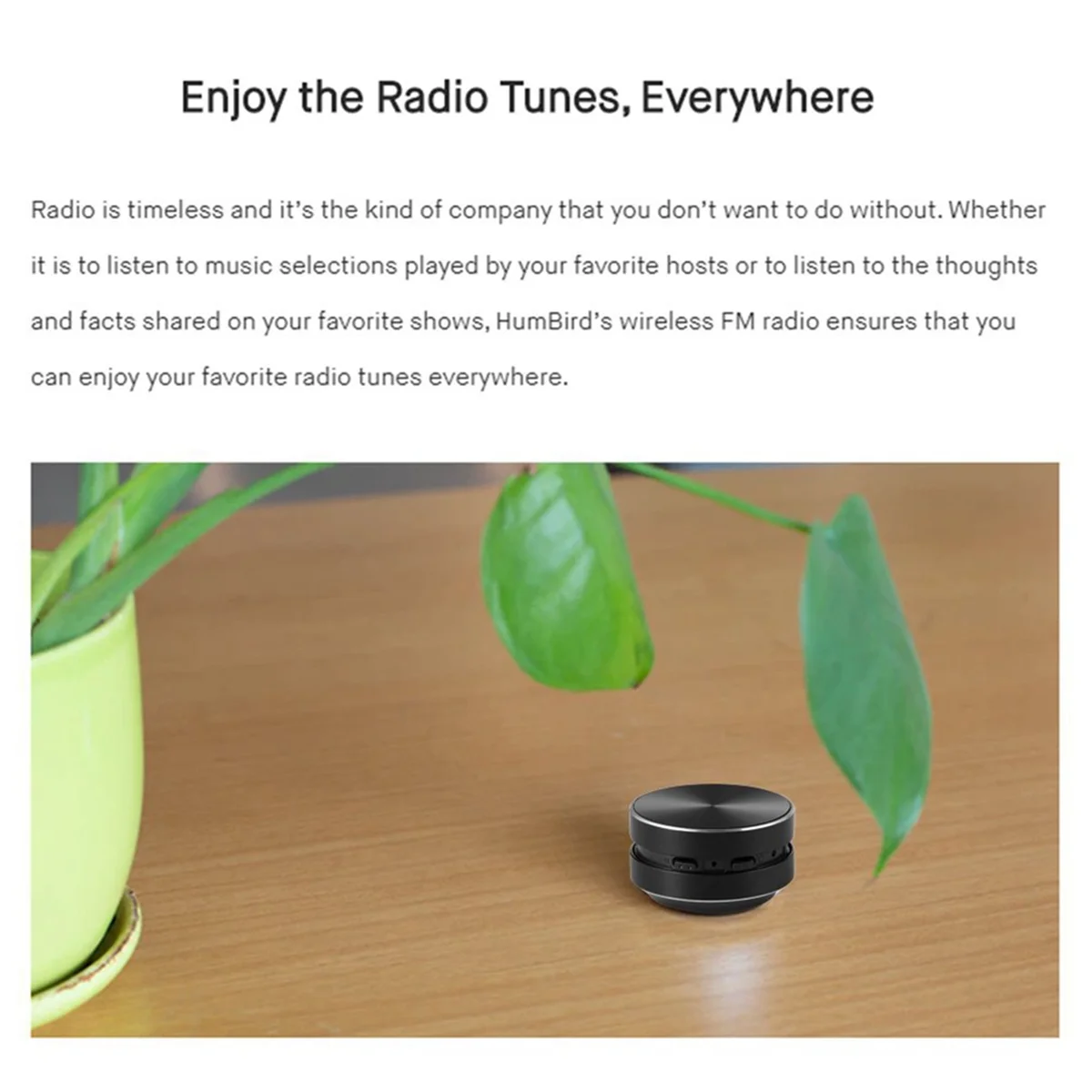 PulseNode, Sounds technical and high-end, focusing on the "Loud Crystal Sound" feature.
