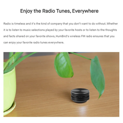 PulseNode, Sounds technical and high-end, focusing on the "Loud Crystal Sound" feature.